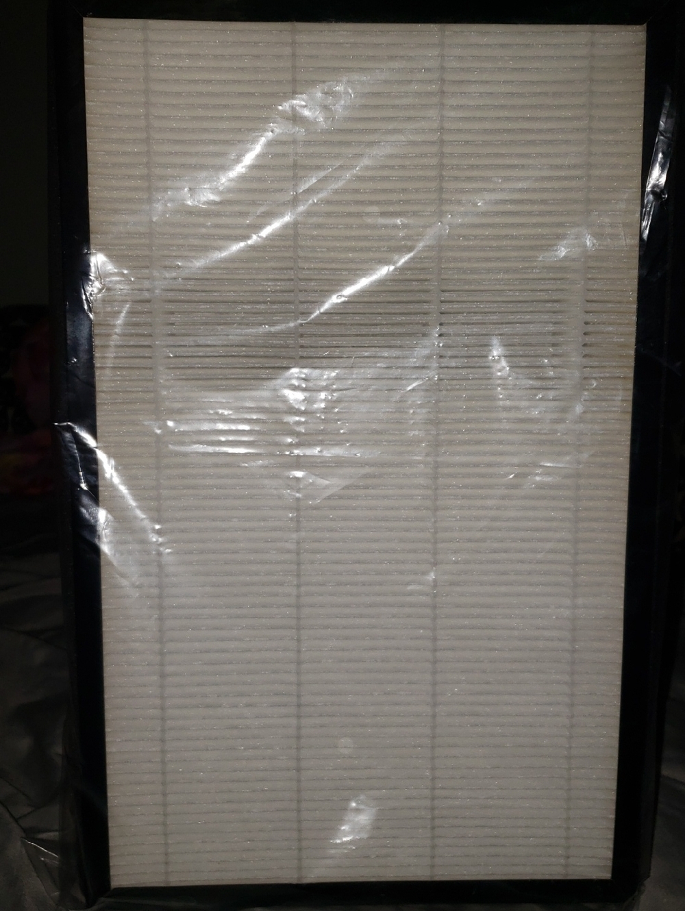 Replacement HEPA-style Air Filter - A2/F2